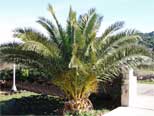 PANSSION VILLA DELFIN CROATIA